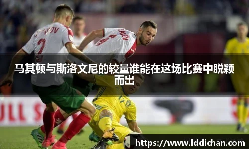 完美体育官网