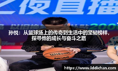 678体育官网入口