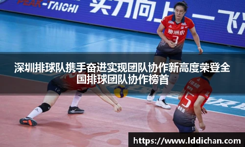 深圳排球队携手奋进实现团队协作新高度荣登全国排球团队协作榜首